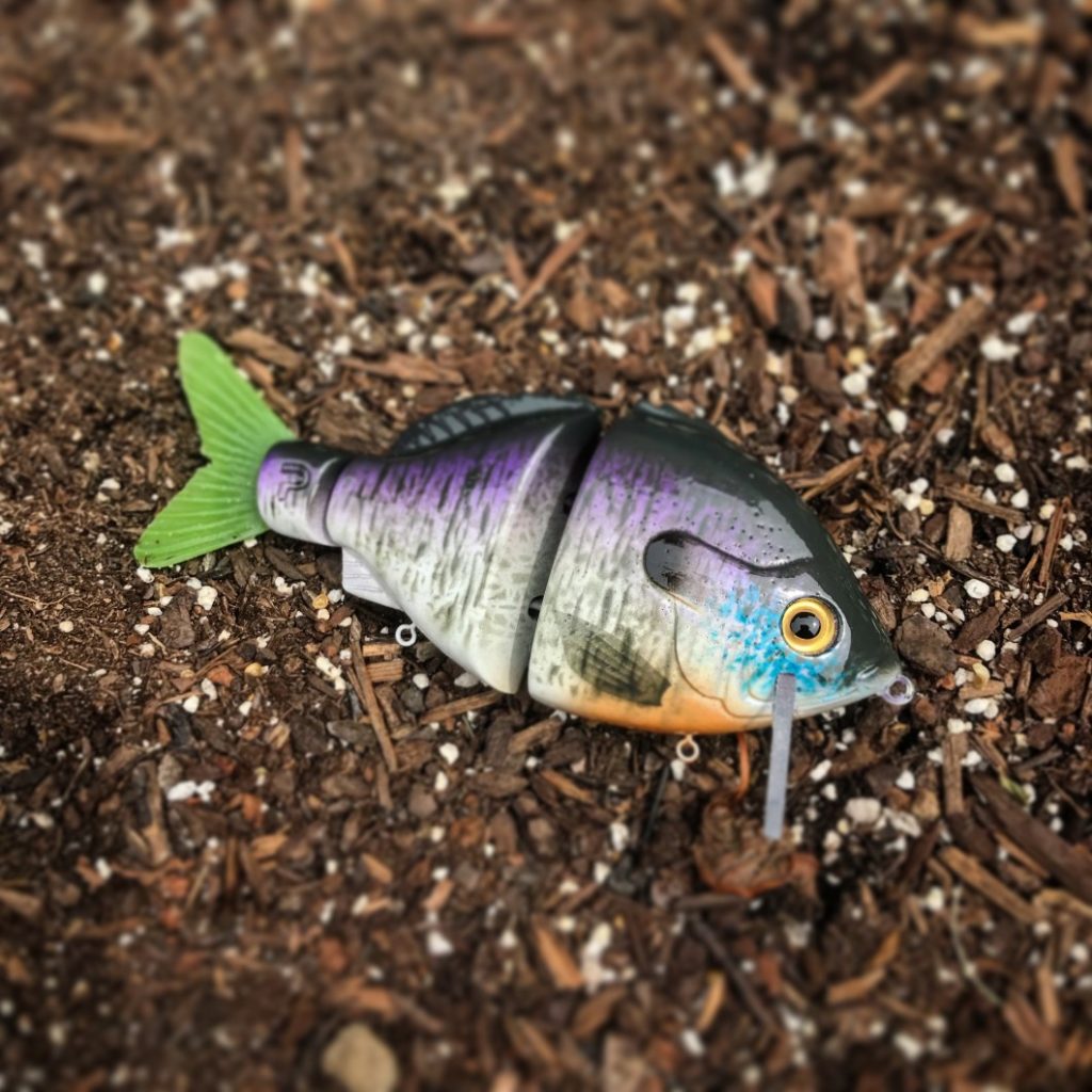 Pizz baits Clearance