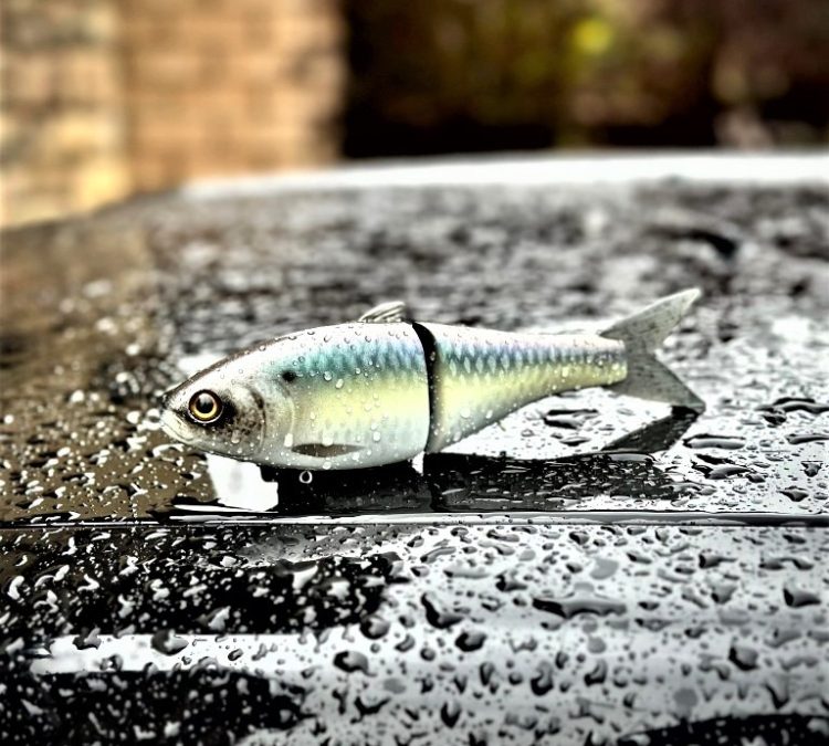 S2 - Rainy Day